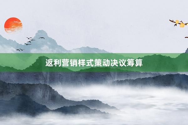 返利营销样式策动决议筹算