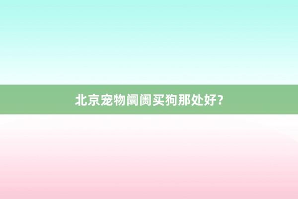 北京宠物阛阓买狗那处好？